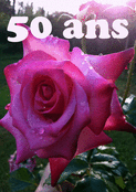 &Eacute;clat de roses pour un 50e anniversaire